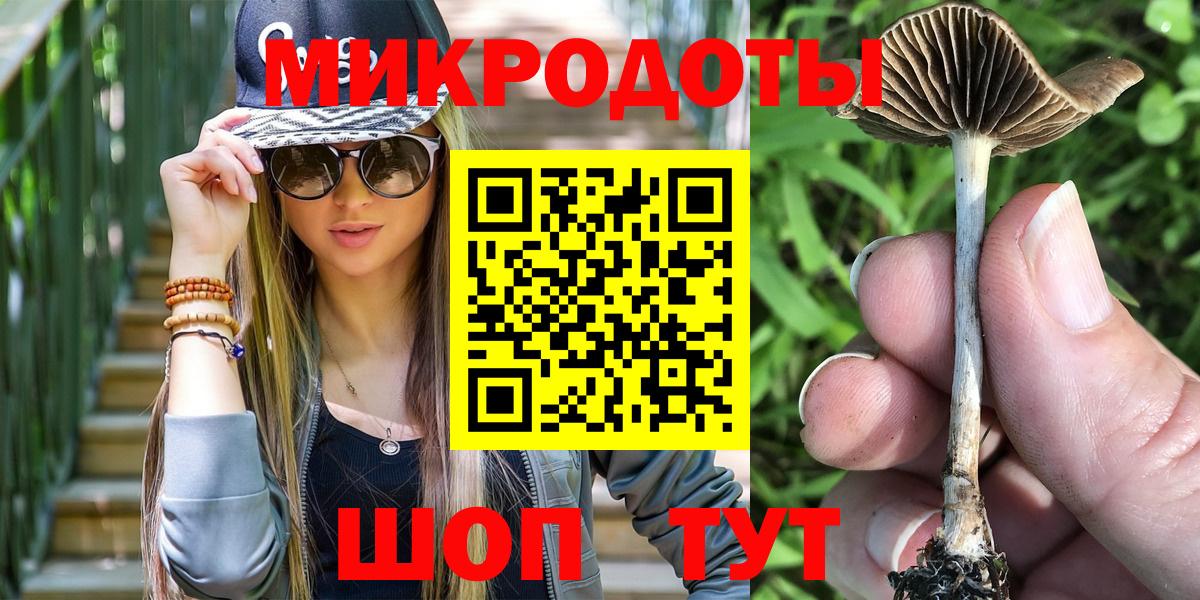 Псилоцибиновые грибы Psilocybe Сухой Лог