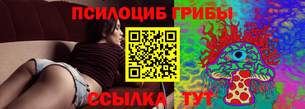 Сухой Лог  Галлюциногенные грибы мицелий  Вход с VPN 
